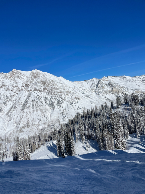 Bunnybaby - bunnybaby1234 OnlyFans