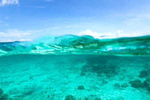 Dive into the Waves: <strong>ᗷᗩ𝗂🫧🐠</strong> Makes a Splash with New OnlyFans Updates!