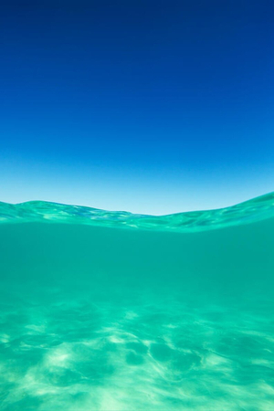 Bubbly Update: <strong>ᗷᗩ𝗂🫧🐠</strong> Makes Waves on OnlyFans