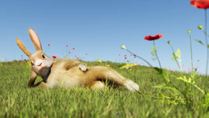 OnlyFans Star <strong>Ocean Sault</strong> Unveils Fresh Profile Update!