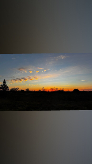 OnlyFans Star <strong>jeannnnnnn</strong> Unveils a Fresh Profile Update!