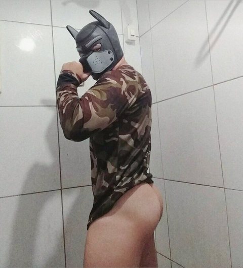 @puppydogbr