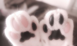 Esther ♡ Unveils Fresh OnlyFans Profile Update