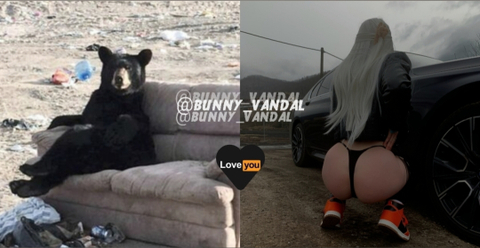 bunny_vandal nude