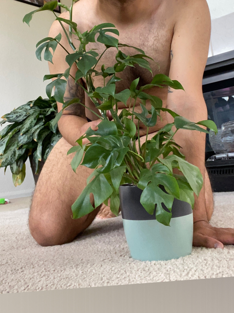 iplantsins nude