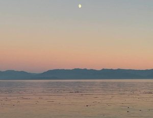 OnlyFans Star <strong>Katja 🥵</strong> Updates Her Profile with Sizzling New Details!