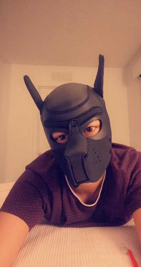 @subbpup