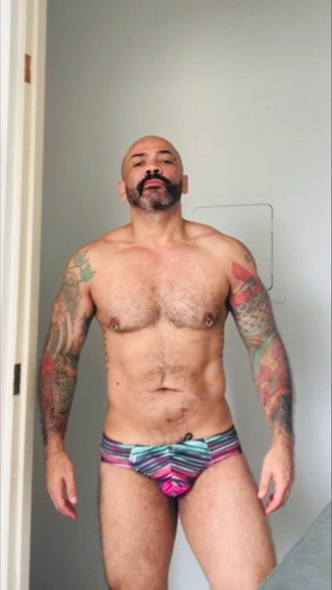 @hotbearbrazil