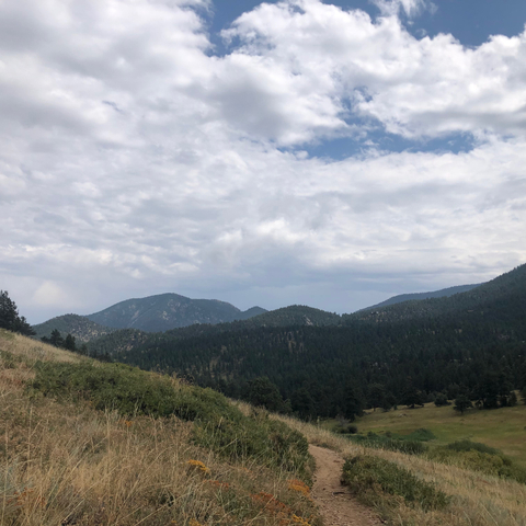 Alivia - aliviasugar OnlyFans