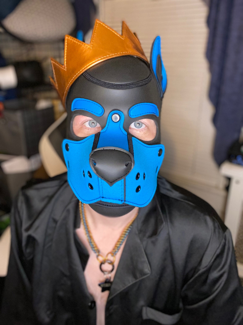 starr_pup