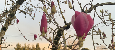 Steph - stephanie_3hk OnlyFans