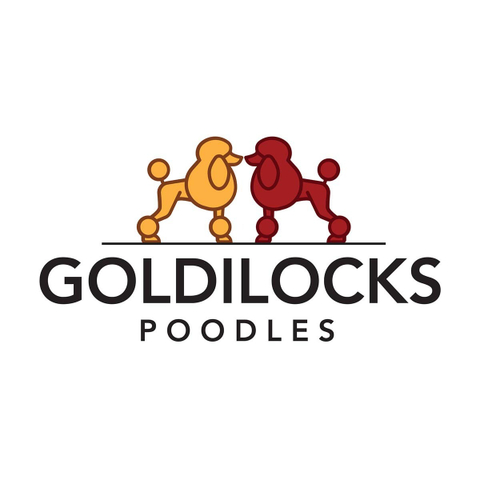 @goldilockspoodles