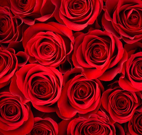 seductivelady01 nude