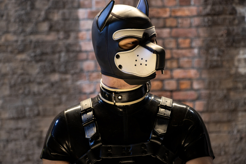 @pup_frost