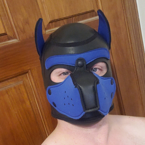 @pup7demon