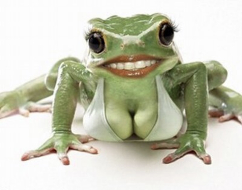 ren_ribbit nude