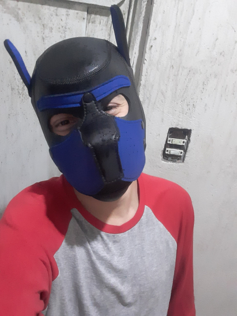 @pupteo235