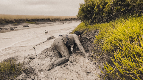 mudadventurer nude