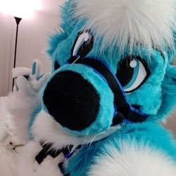 @potatohusky