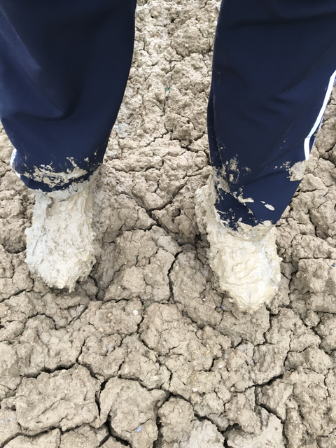 Muddy Side Up - muddysideup OnlyFans