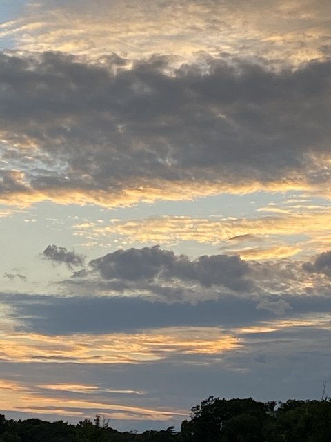 Carissa - u166451596 OnlyFans