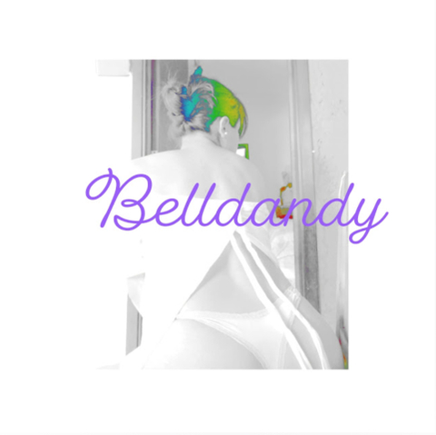 @belldandy9393