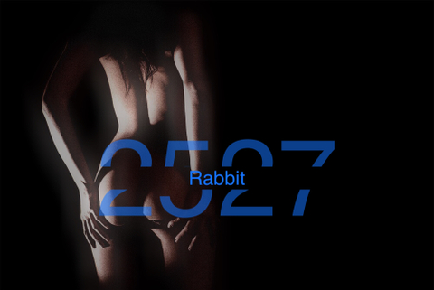 rabbit2527 nude