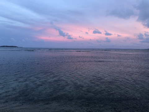 Celeste - celestial-sunflower OnlyFans