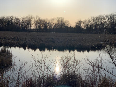 lauren - itslaurenelizabeth OnlyFans