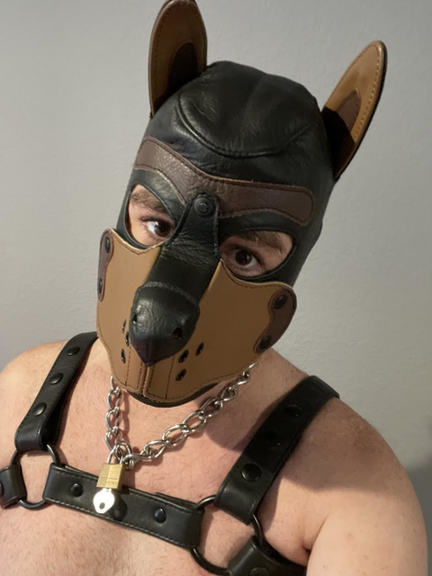 @pupzeus4