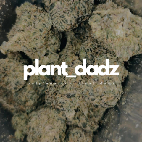 plant_dadz nude