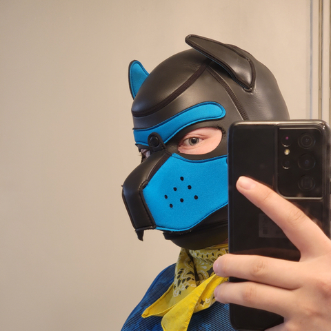 @pupmysteryad