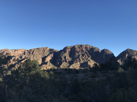 Casanova - thecasanovatype OnlyFans