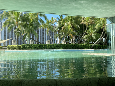 Caribbean-ninja - dickeydo OnlyFans