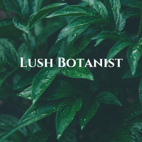 mslushbotanist nude