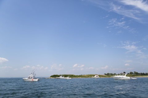 Fantastic Mr Foxxx - fantasticmrfoxxx OnlyFans