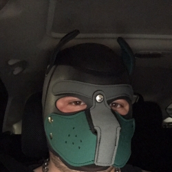 @pupshadow