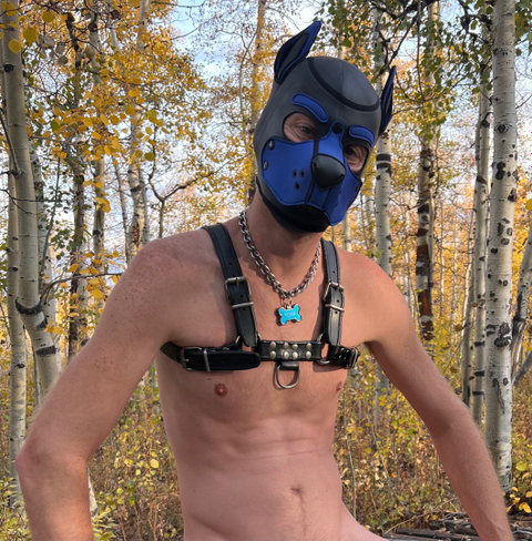 @puptonk