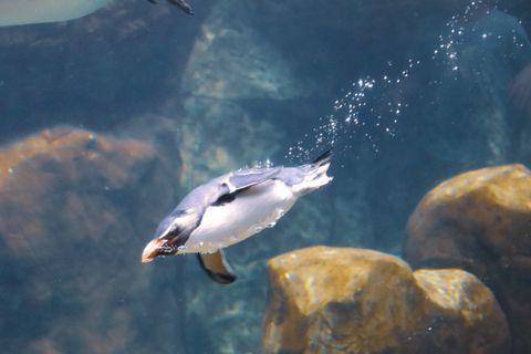 Mo - mexy_mo OnlyFans