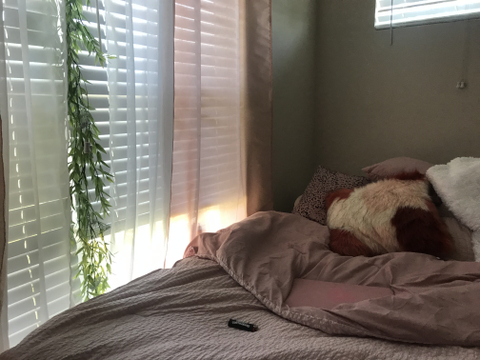 Rena - gripfairy OnlyFans