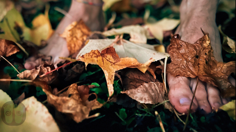 feetintrees nude