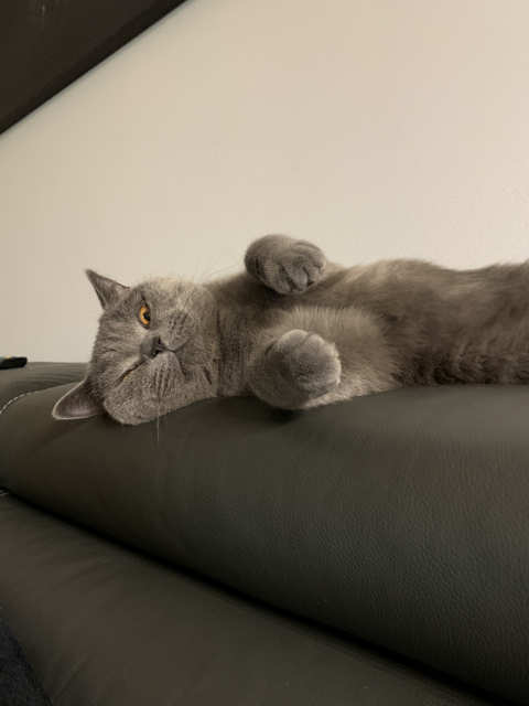 Alice - yourasianminx OnlyFans