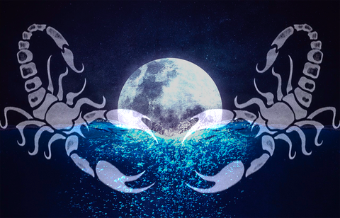 Alicia Peters - aliciapeters OnlyFans