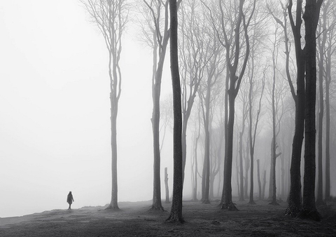 Belladonna - belladonnae OnlyFans