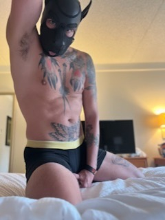 @pupjaxx