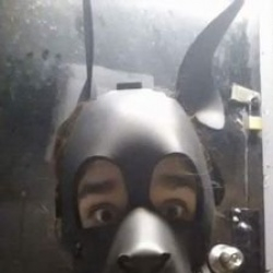 @pupweisses