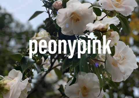 peonypink nude