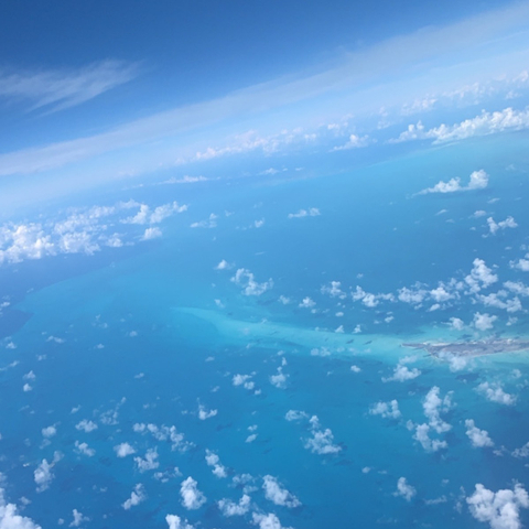 𝓐𝓻𝓲 ♕ The German Doll - arixanarose OnlyFans