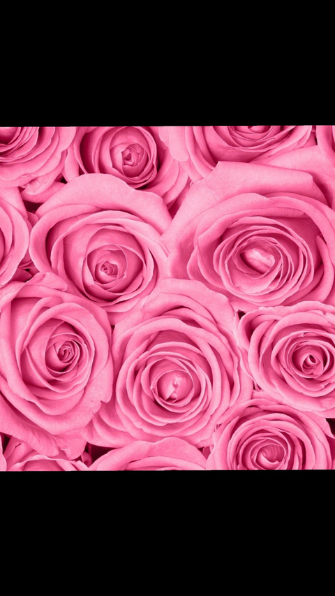 Ms. Pynk Majesty OnlyFans Account - mspynkmajesty