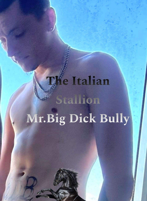 @mrbigdickbully